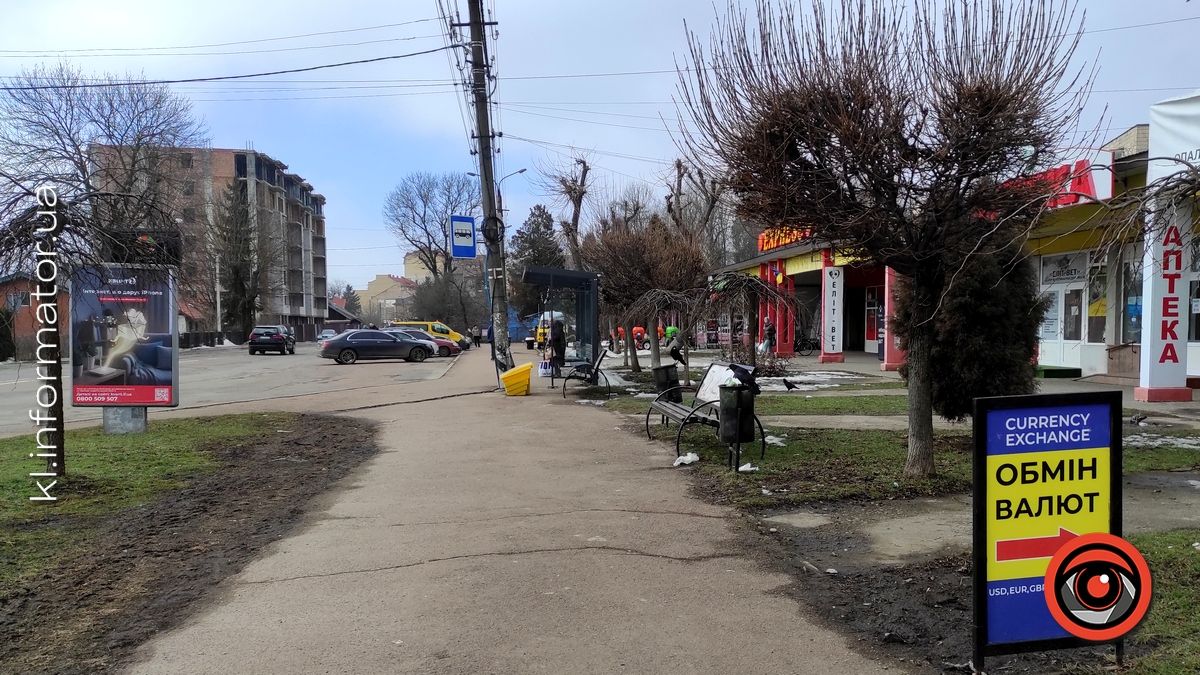 Весняні жнива: що вилізло з-під снігу на вулицях Коломиї 5