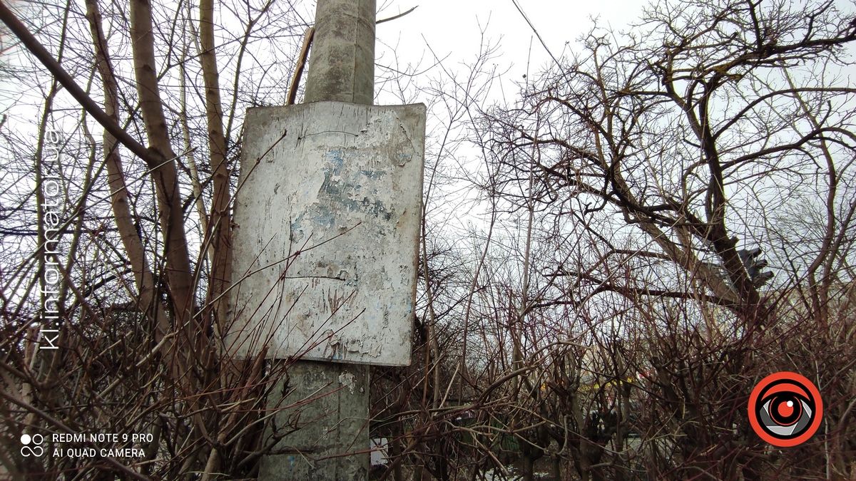 Весняні жнива: що вилізло з-під снігу на вулицях Коломиї 8