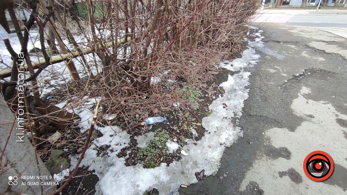 Весняні жнива: що вилізло з-під снігу на вулицях Коломиї 7