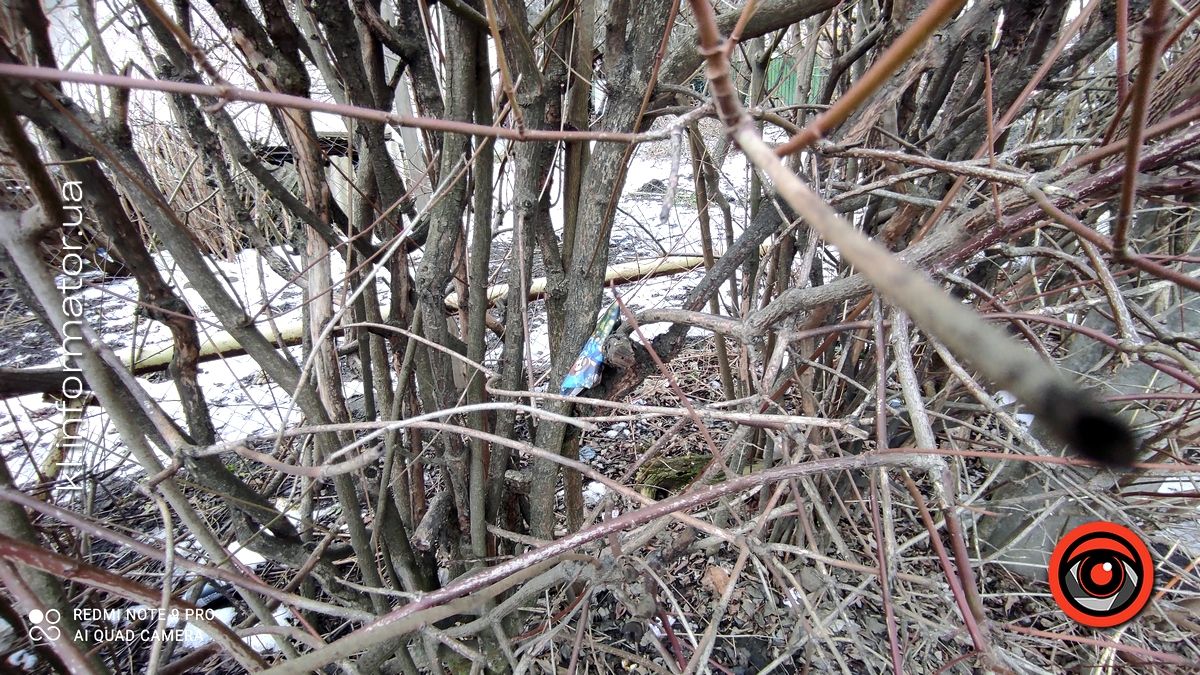 Весняні жнива: що вилізло з-під снігу на вулицях Коломиї 6