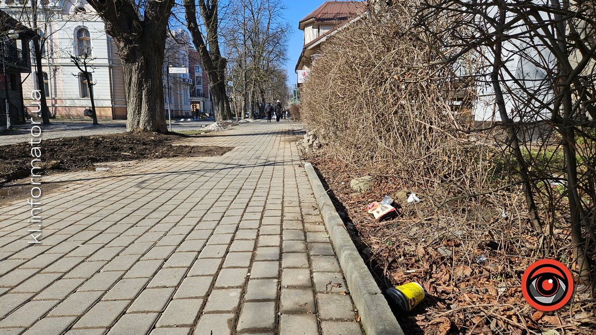 Весняні жнива: що вилізло з-під снігу на вулицях Коломиї 12