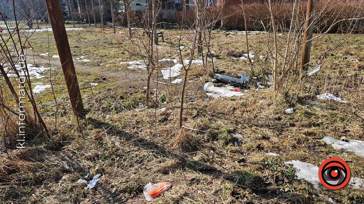 Весняні жнива: що вилізло з-під снігу на вулицях Коломиї 15