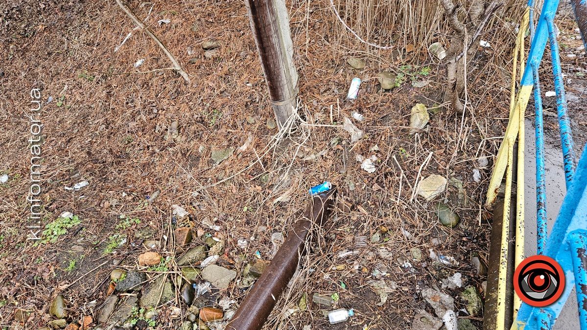 Весняні жнива: що вилізло з-під снігу на вулицях Коломиї 4