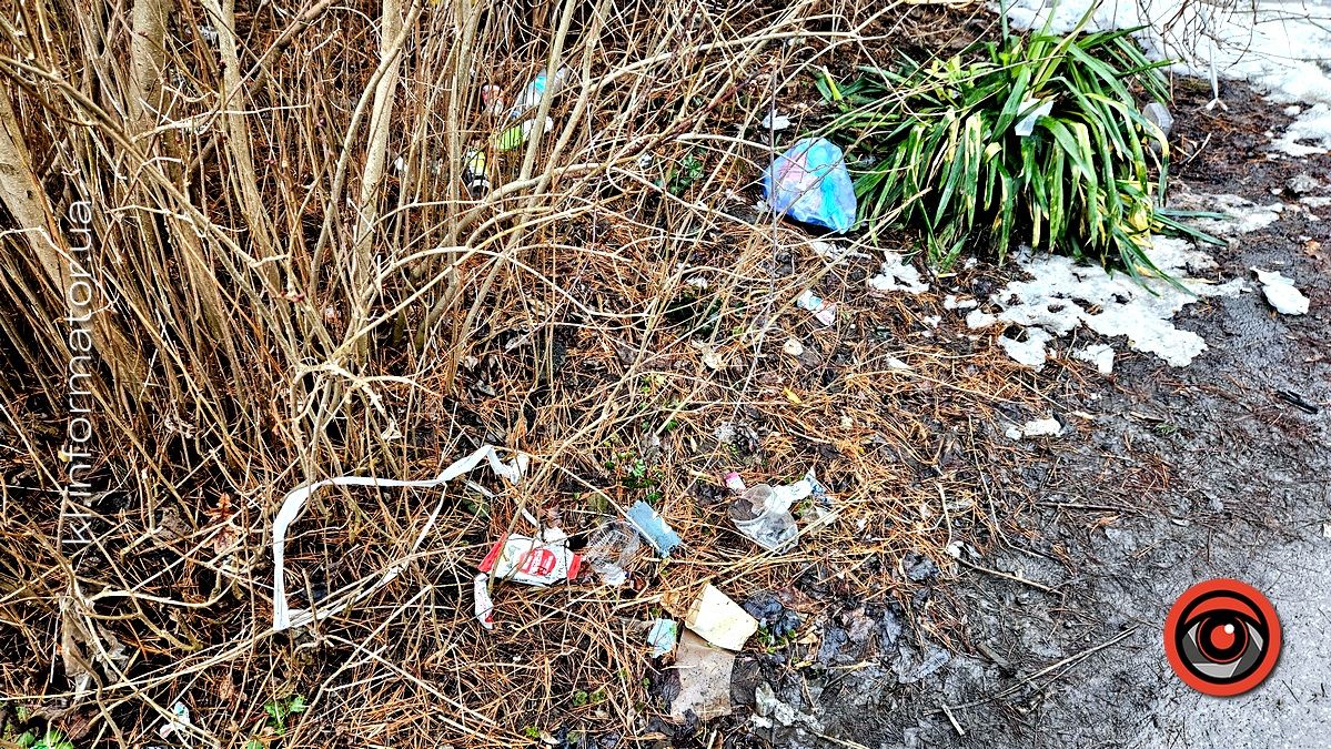 Весняні жнива: що вилізло з-під снігу на вулицях Коломиї