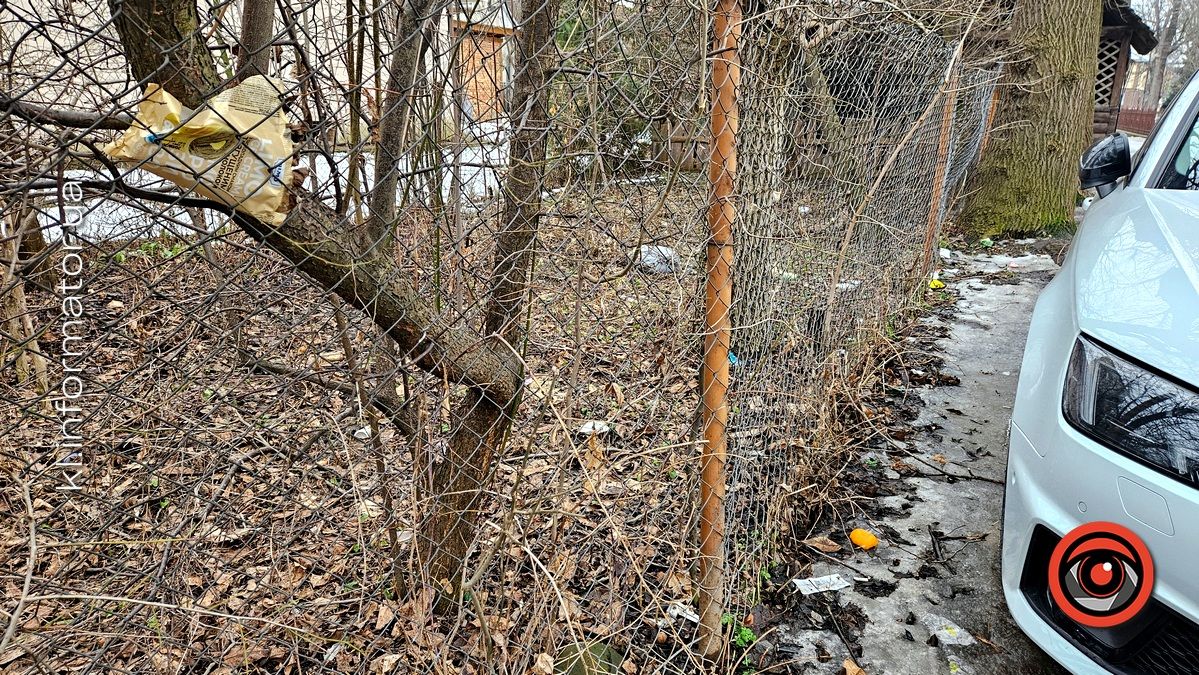 Весняні жнива: що вилізло з-під снігу на вулицях Коломиї 10