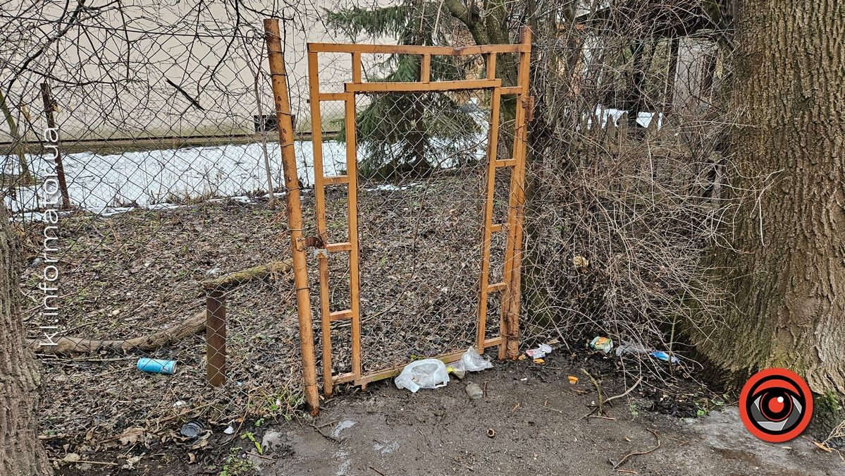 Весняні жнива: що вилізло з-під снігу на вулицях Коломиї 16