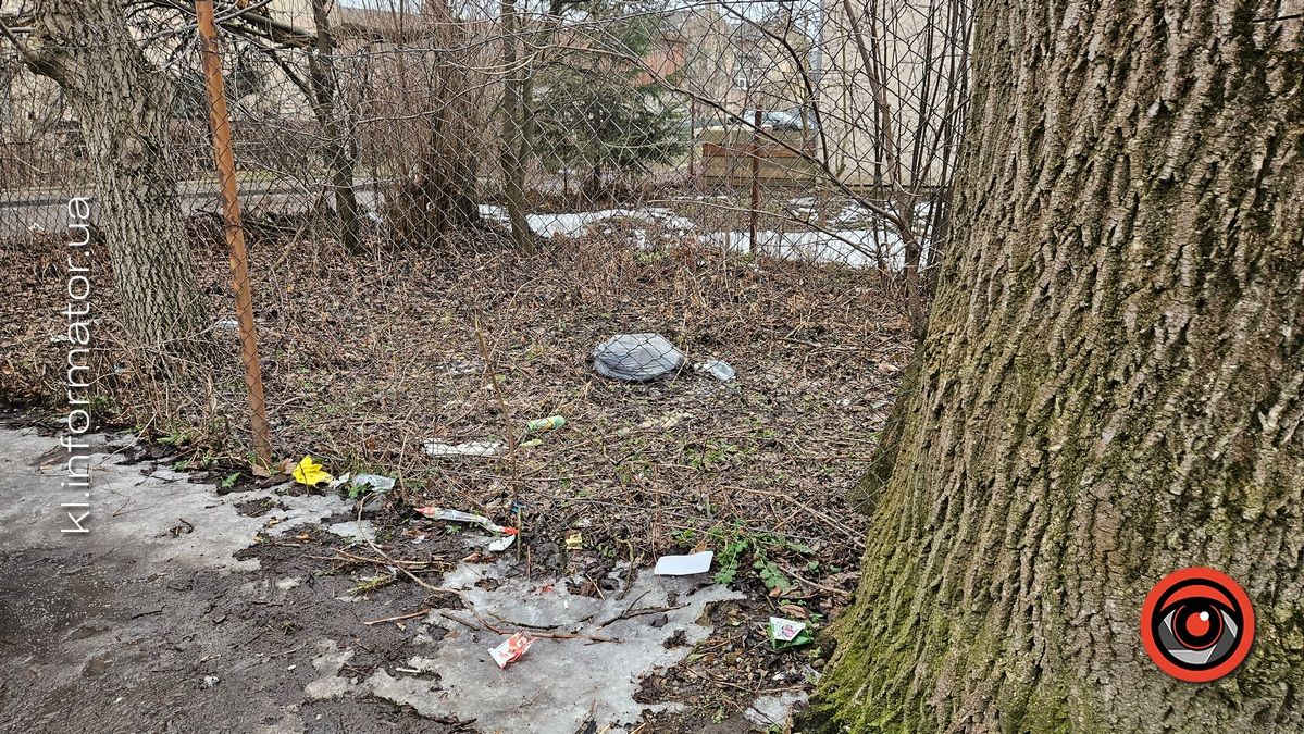 Весняні жнива: що вилізло з-під снігу на вулицях Коломиї 13