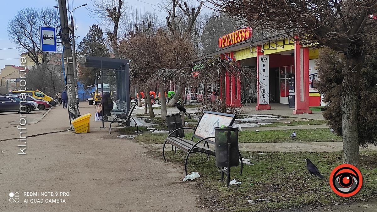 Весняні жнива: що вилізло з-під снігу на вулицях Коломиї 9