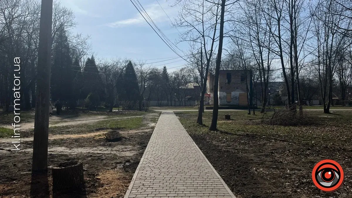 Пиляли разом - платить один? Відповідальність за незаконну зрізку в парку ім. Трильовського взяв на себе коломиянин 3