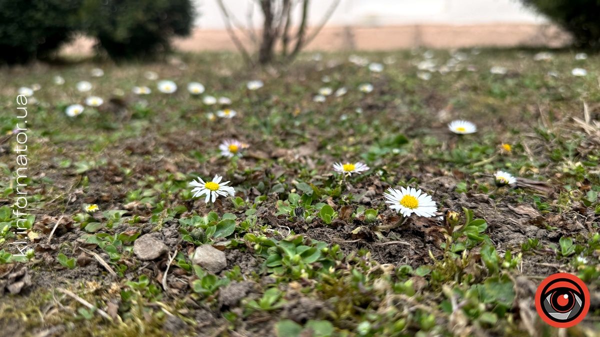 Прогноз погоди у Коломиї