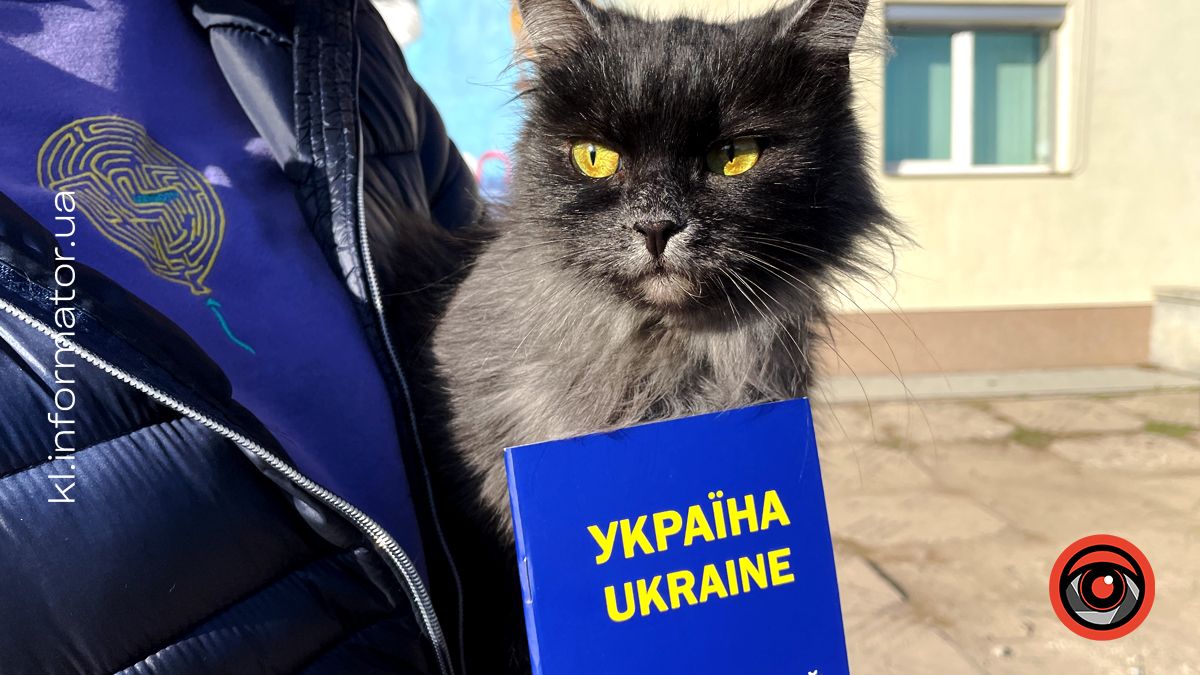 Сказ небезпечний не лише для домашнього улюбленця, але й для його власника: чому важливо вакцинувати своїх хвостиків 1