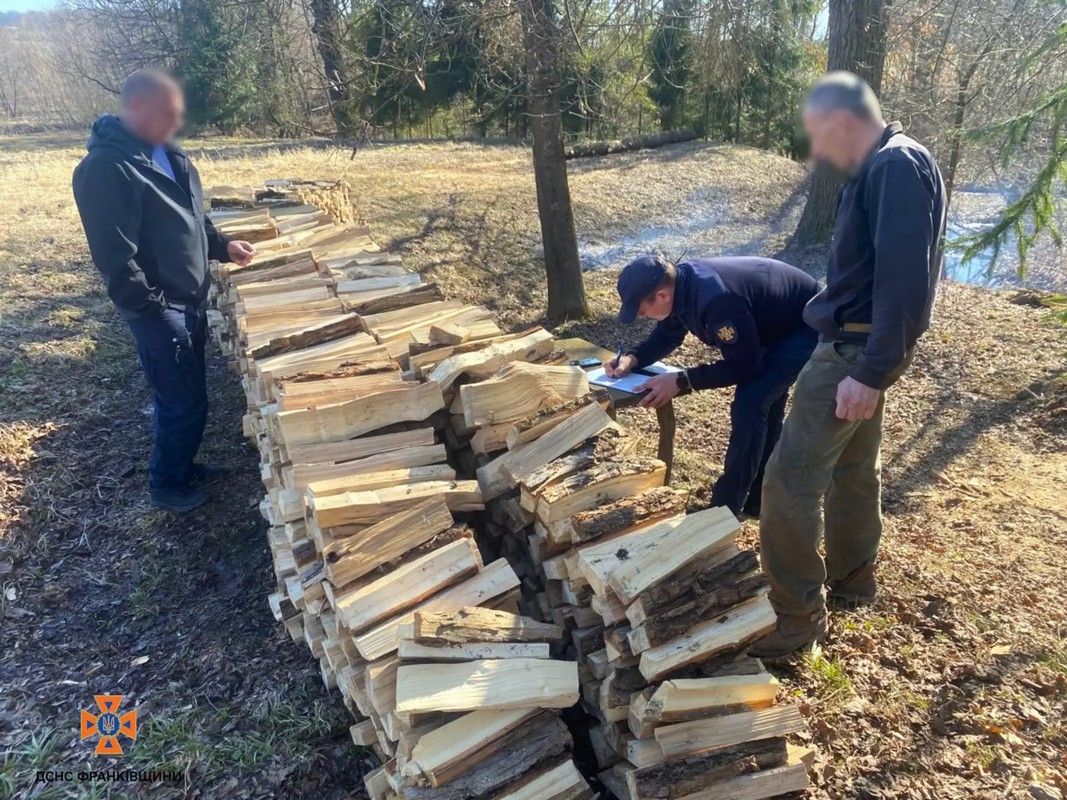 Більше 5,5 гектарів землі вигоріло на Прикарпатті за добу, постраждала людина 4