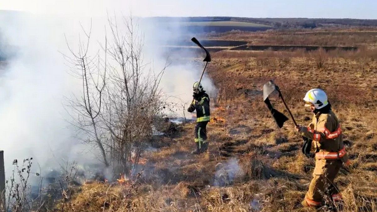 Більше 5,5 гектарів землі вигоріло на Прикарпатті за добу, постраждала людина 2