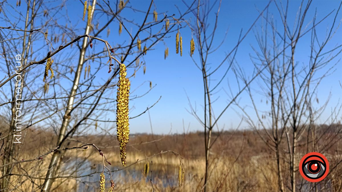 У перших весняних променях сонця: фоторепортаж з села Кіданч 5