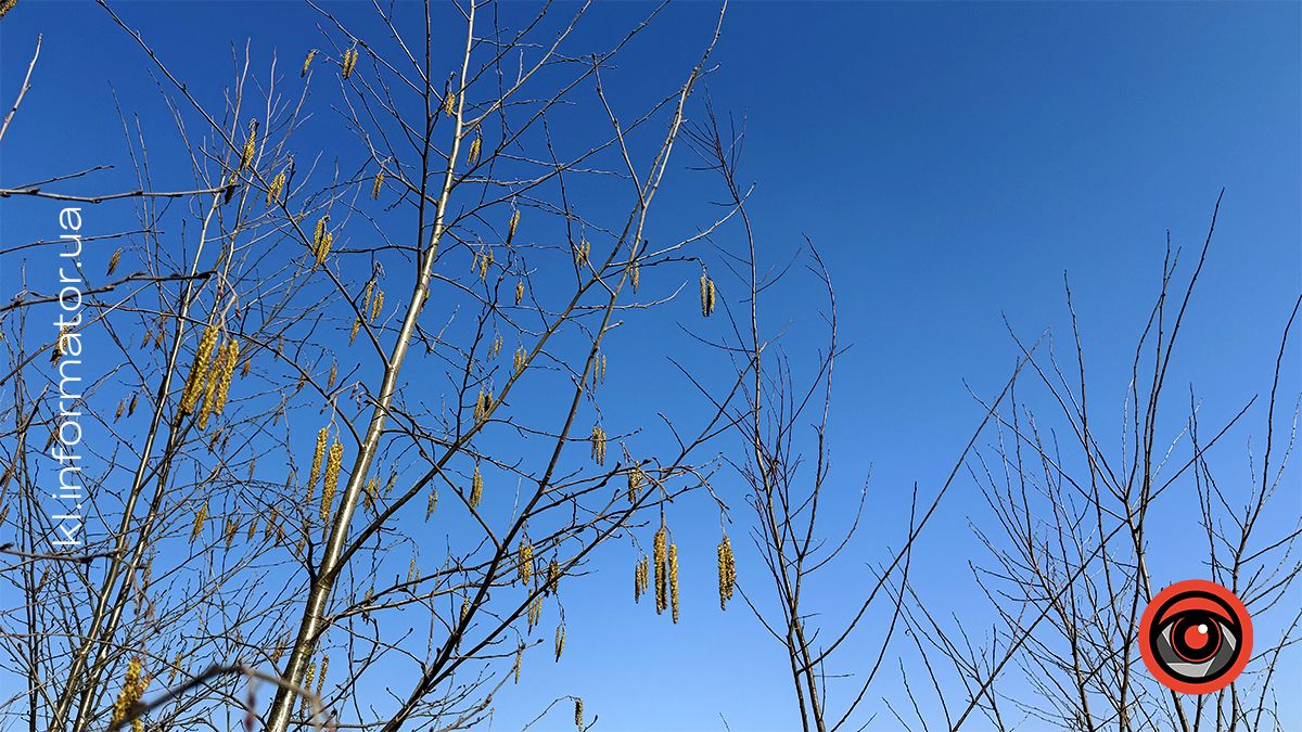 У перших весняних променях сонця: фоторепортаж з села Кіданч 6