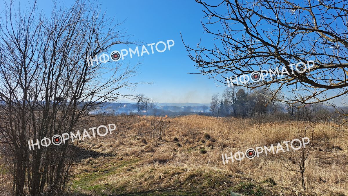 У Коломиї знову палає суха трава 1