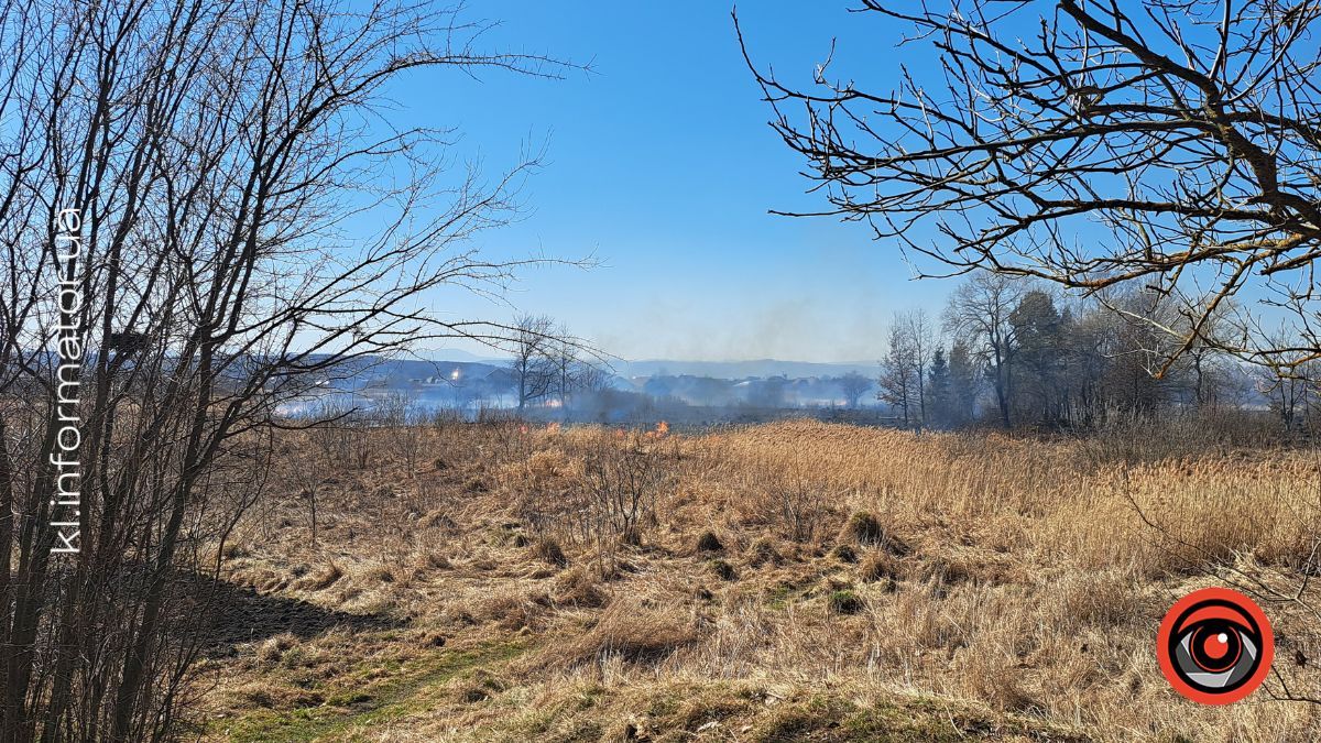 Коломия в диму: як ґазди палять траву і руйнують екосистему 9