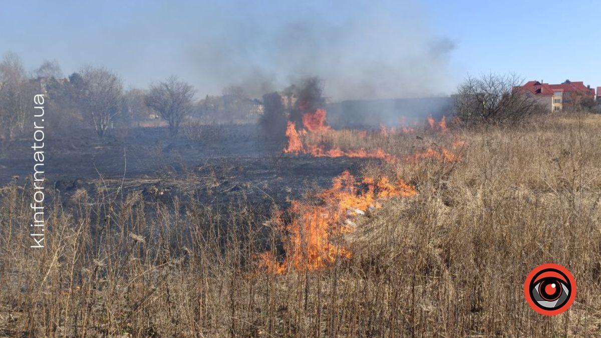 Коломия в диму: як ґазди палять траву і руйнують екосистему 7