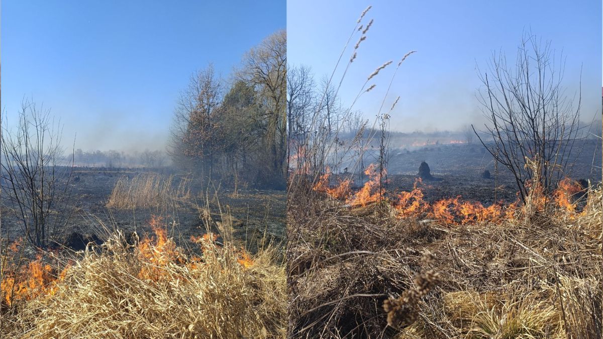 Коломия в диму: як ґазди палять траву і руйнують екосистему 6
