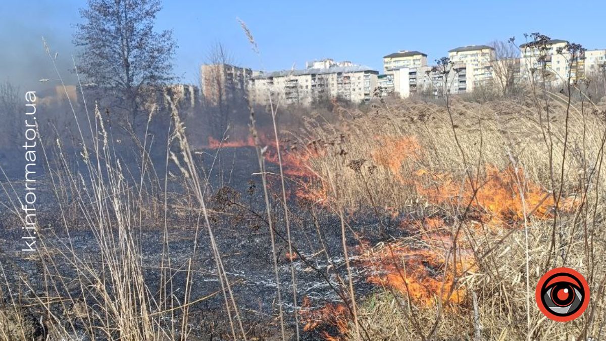 Коломия в диму: як ґазди палять траву і руйнують екосистему 5