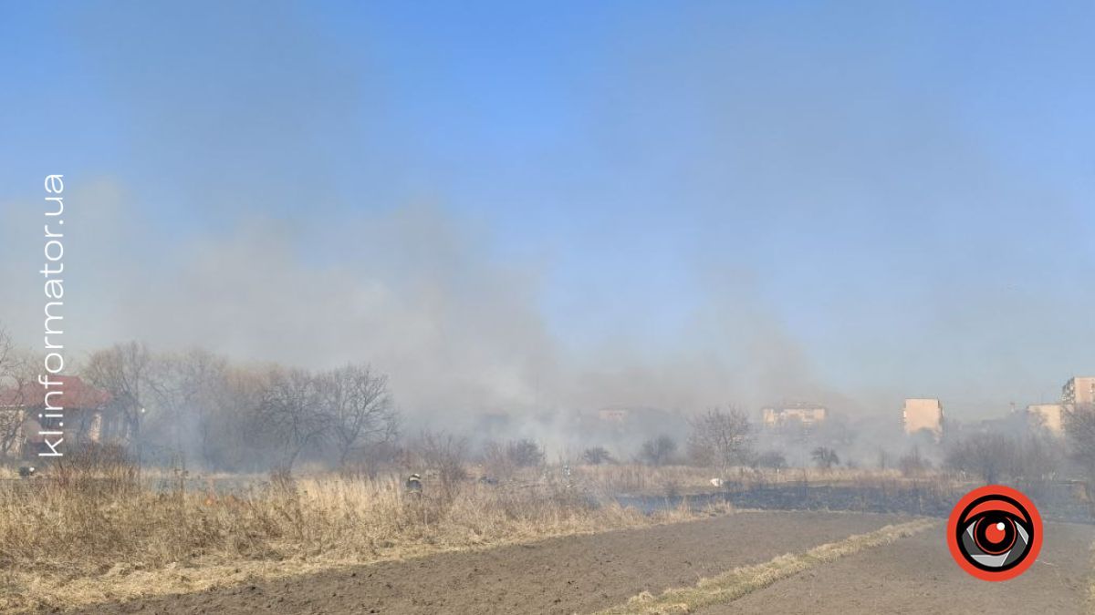 Коломия в диму: як ґазди палять траву і руйнують екосистему 3