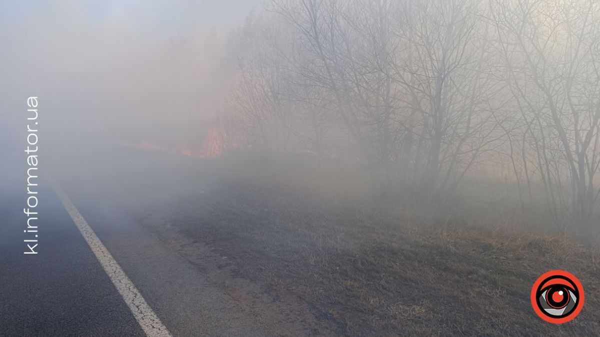 Коломия в диму: як ґазди палять траву і руйнують екосистему 2