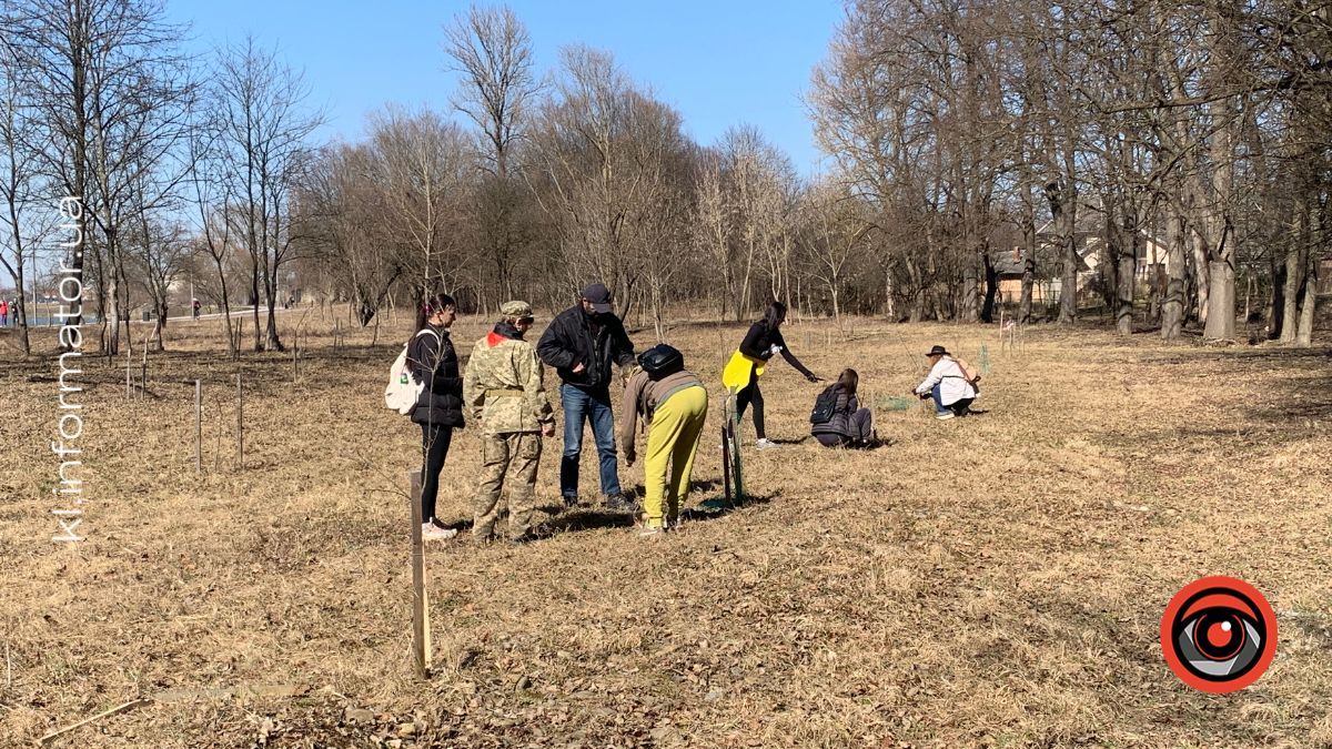 У Коломиї відзначили День добровольця та провели толоку на Алеї добровольців 10