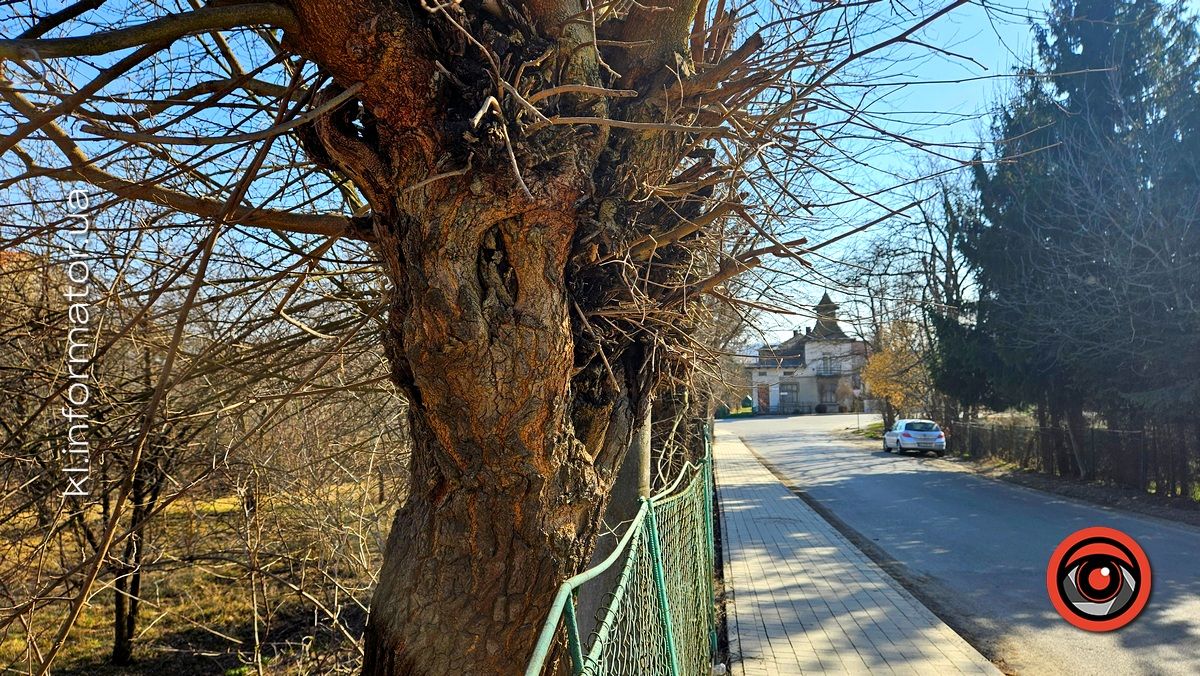 Коломия, сад вул. Замкова