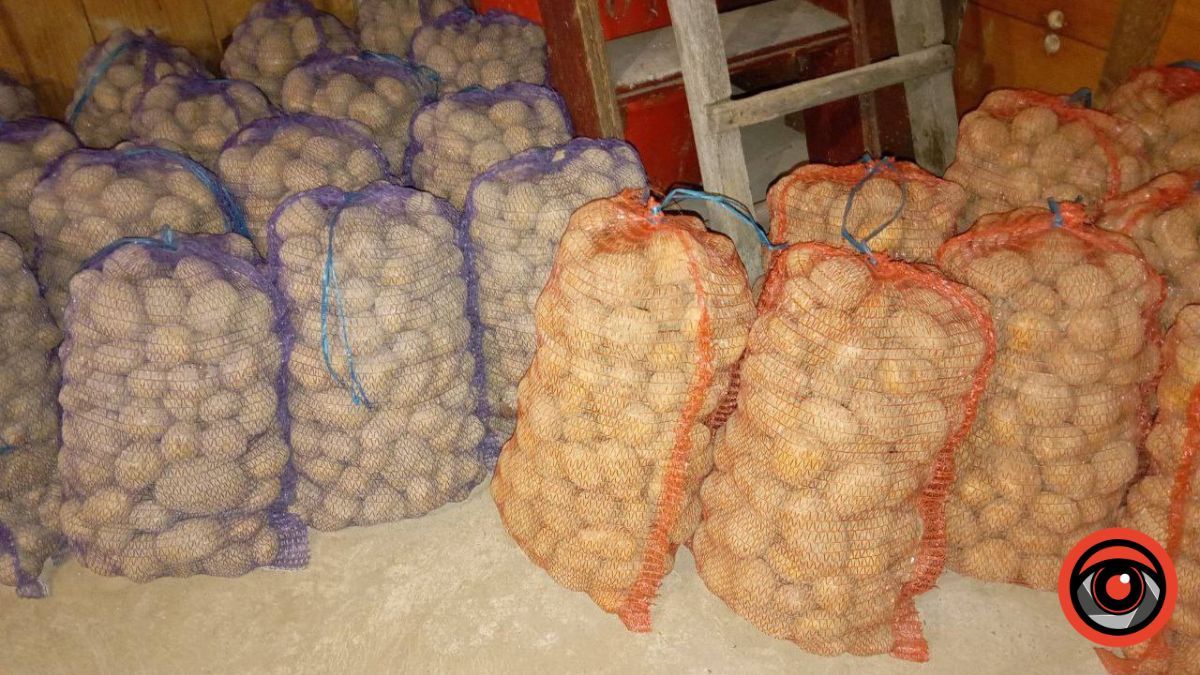 Фото: Інформатор Калуш