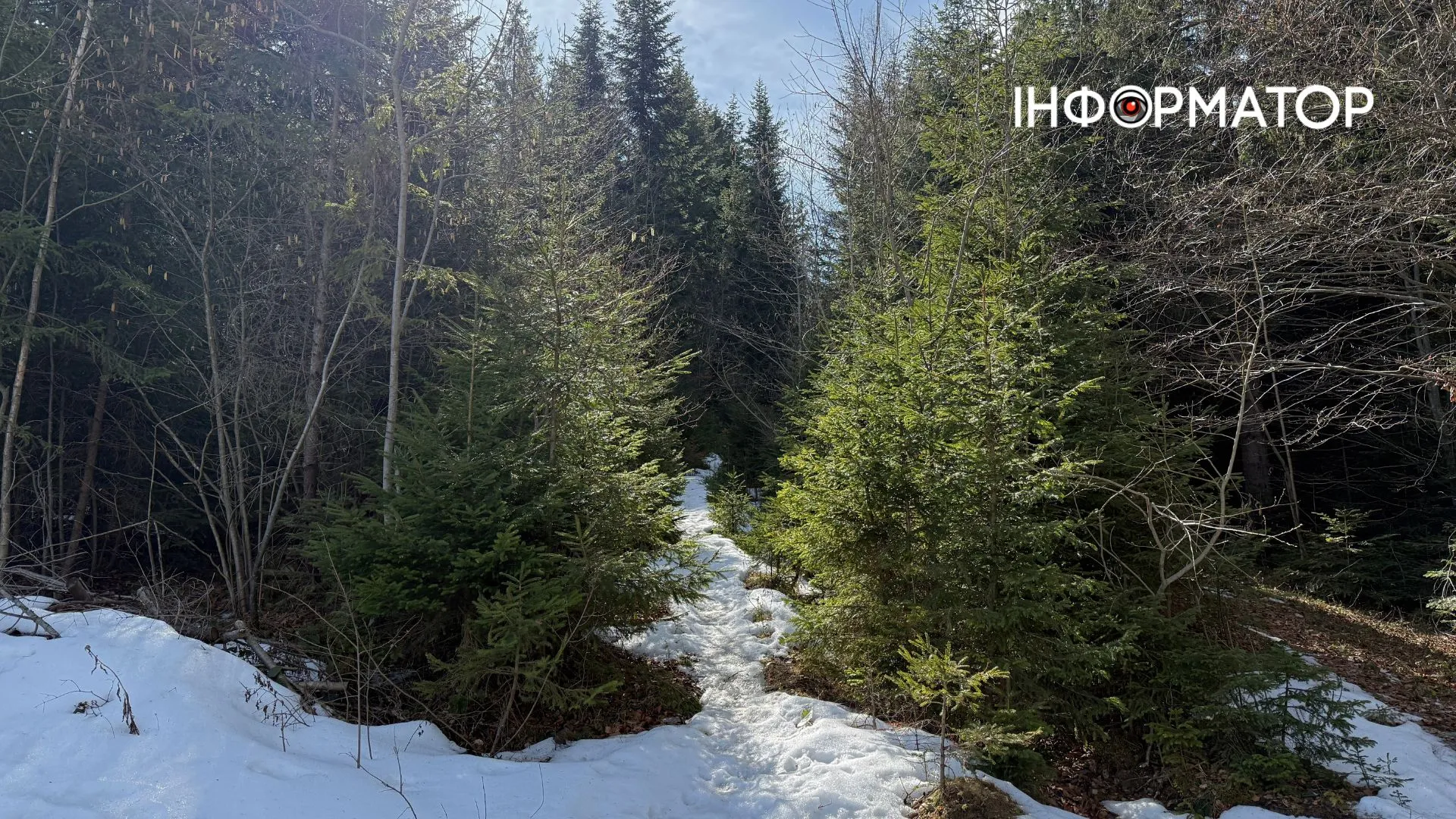 Рання весня на висоті: фоторепортаж з Карпат 3