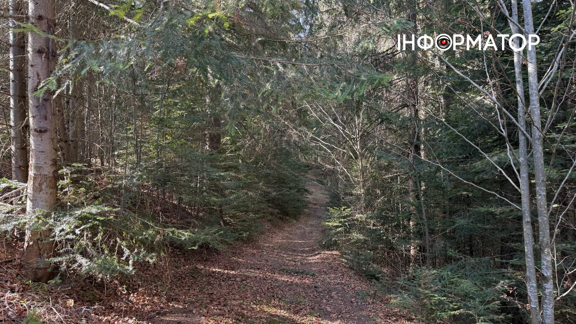 Рання весня на висоті: фоторепортаж з Карпат 4