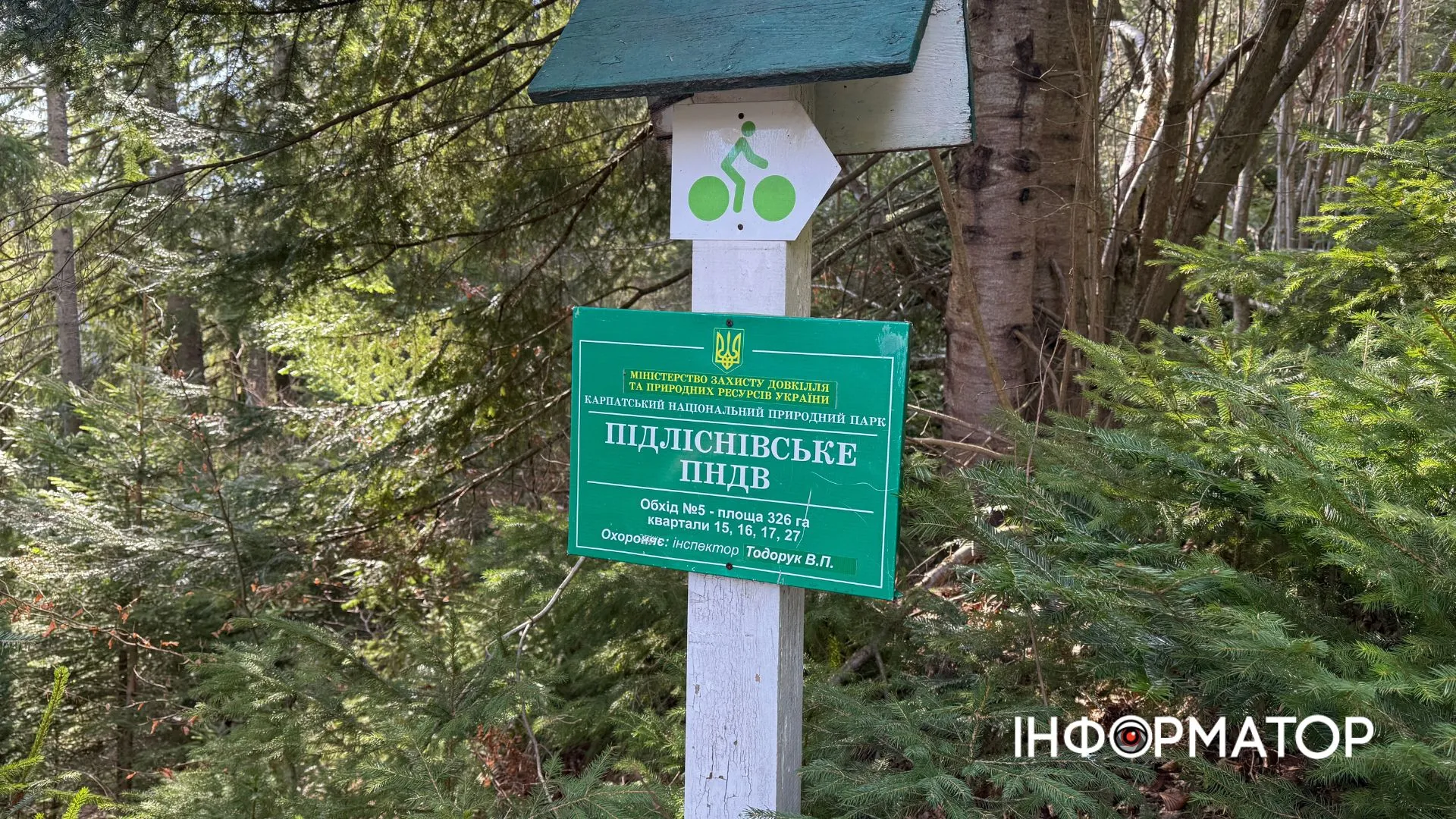 Рання весня на висоті: фоторепортаж з Карпат 7