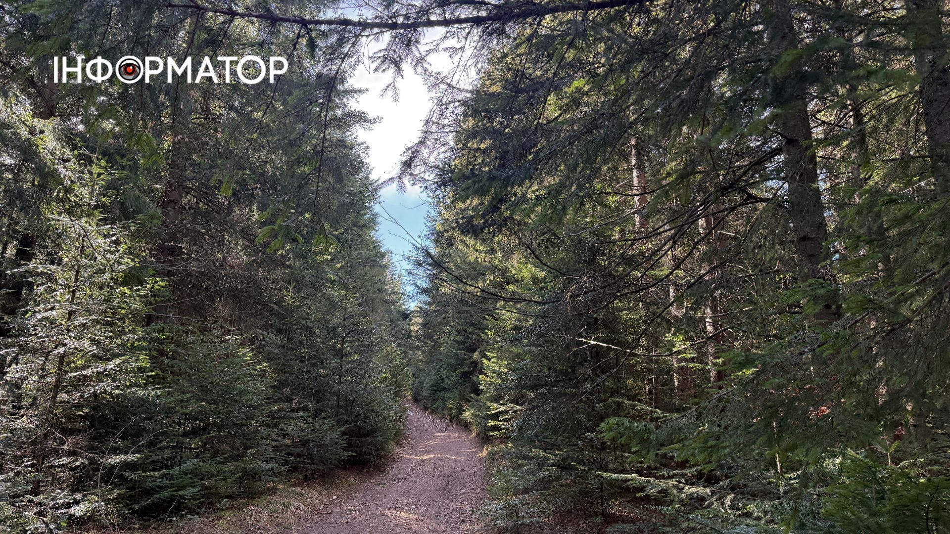 Рання весня на висоті: фоторепортаж з Карпат 8