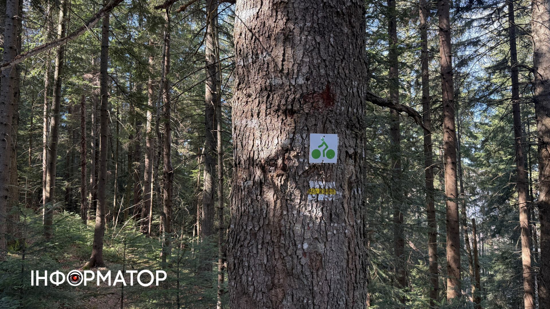 Рання весня на висоті: фоторепортаж з Карпат 9