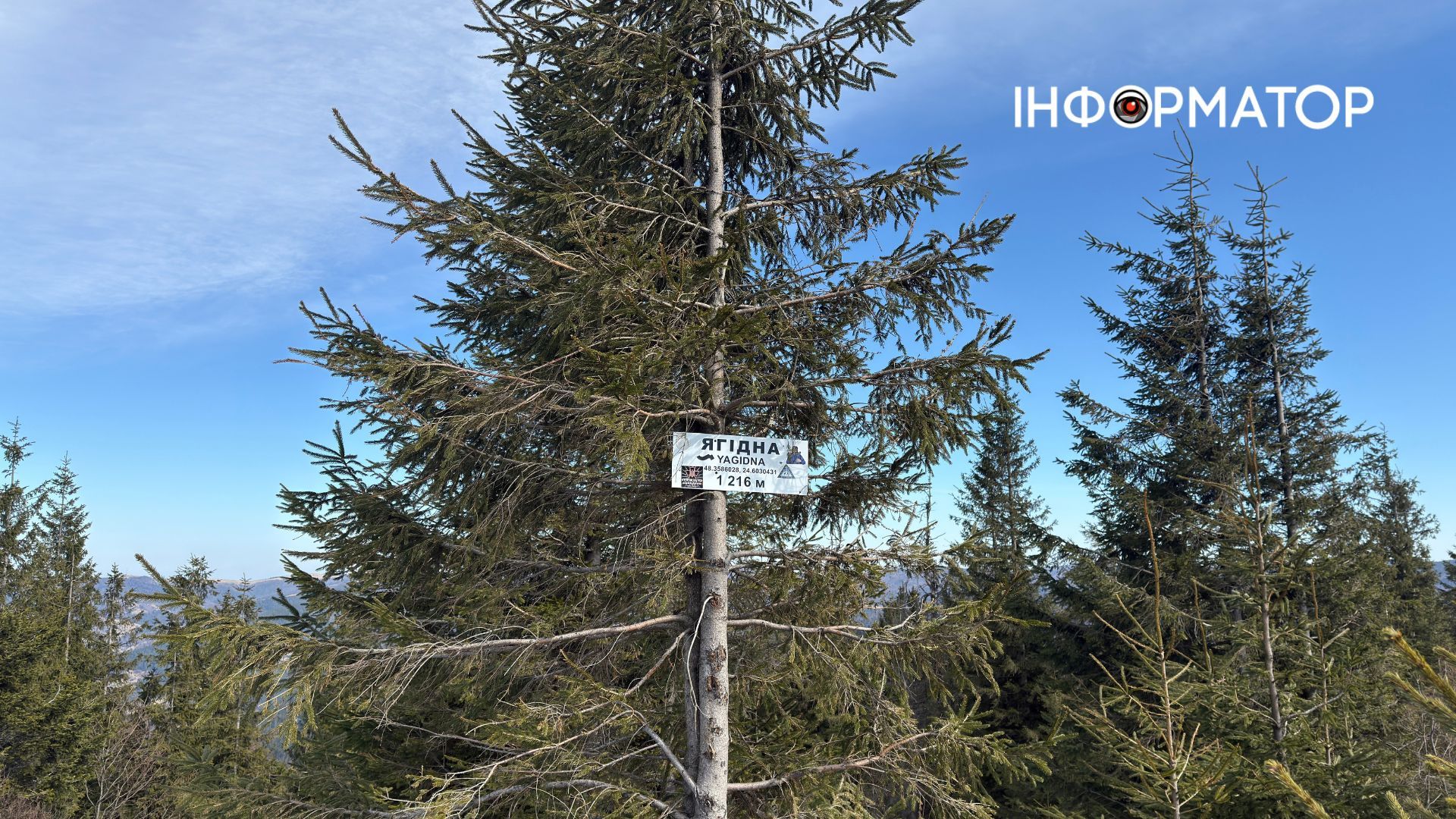 Рання весня на висоті: фоторепортаж з Карпат 16