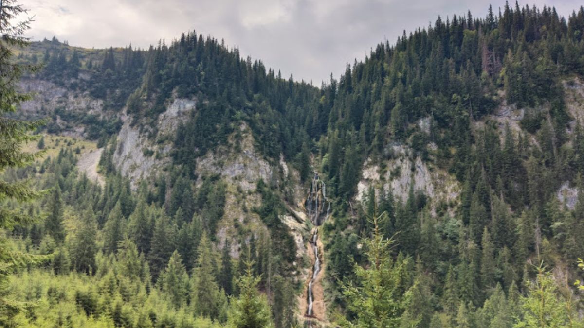 Трагічний перехід кордону: в Румунії знайшли мертвим молодого українця