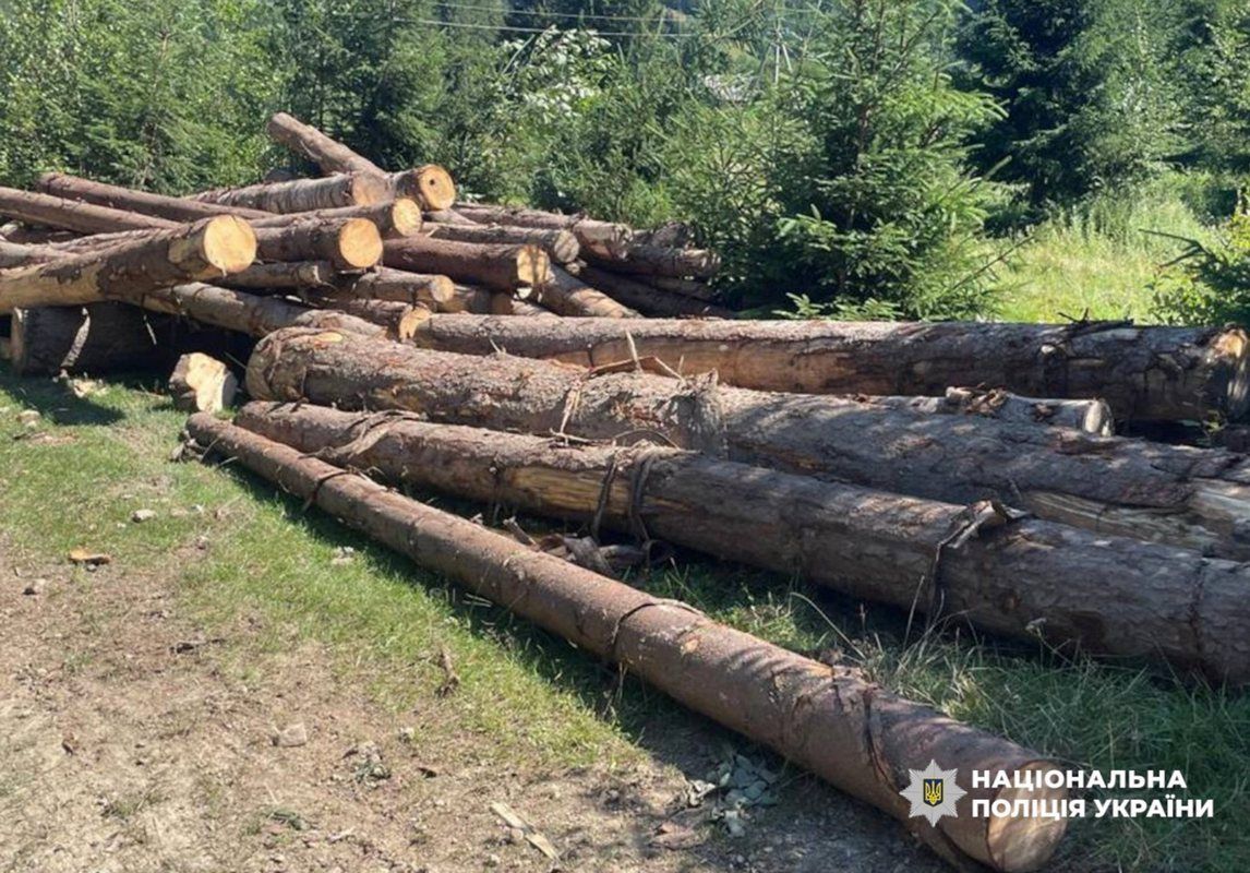 Знищено понад 200 га лісу: за масштабні вирубки судитимуть групу посадовців Кутського лісгоспу 1