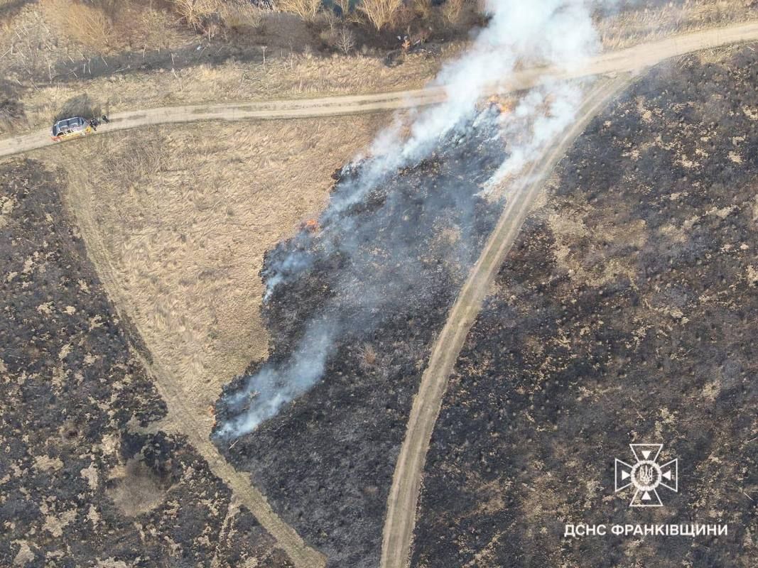 Кількість пожеж в екосистемах на Прикарпатті зменшується 2