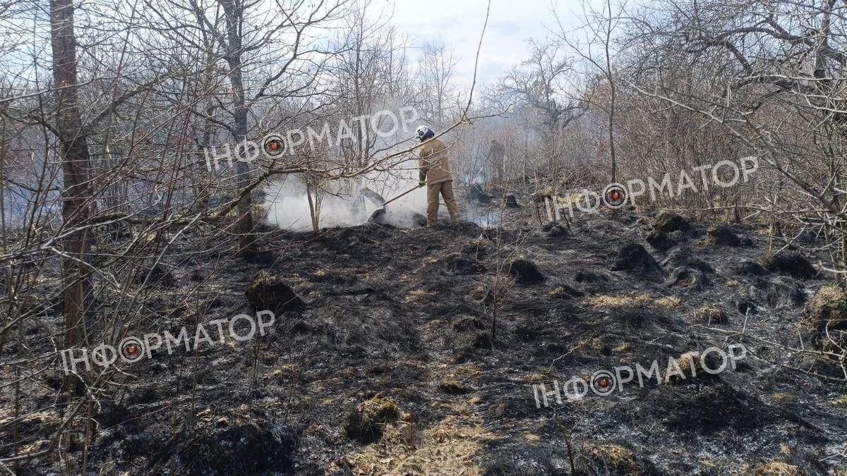 У Раківчику горить сухостій. Фото 2