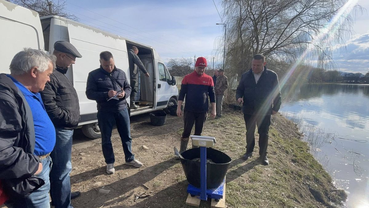 У Надвірній зарибили озеро у зоні відпочинку імені Назарія Яремчука 3