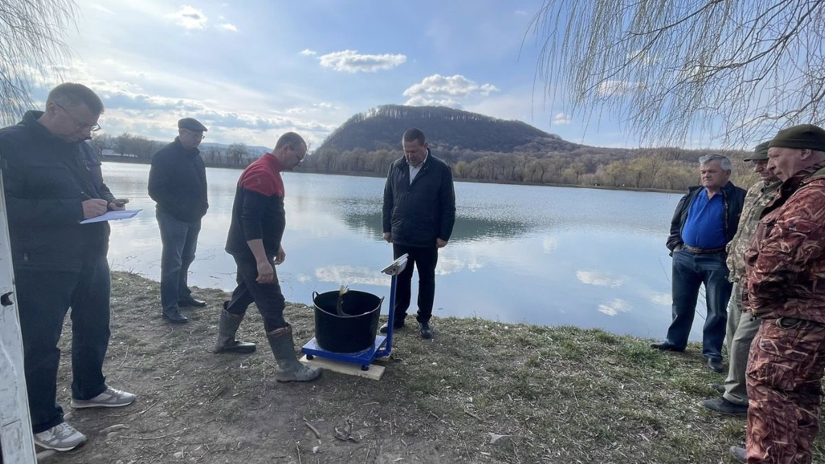 У Надвірній зарибили озеро у зоні відпочинку імені Назарія Яремчука