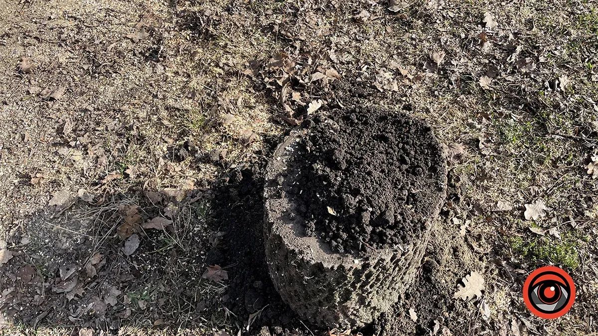 Як за допомогою простих методів назавжди прибрати пеньок із саду