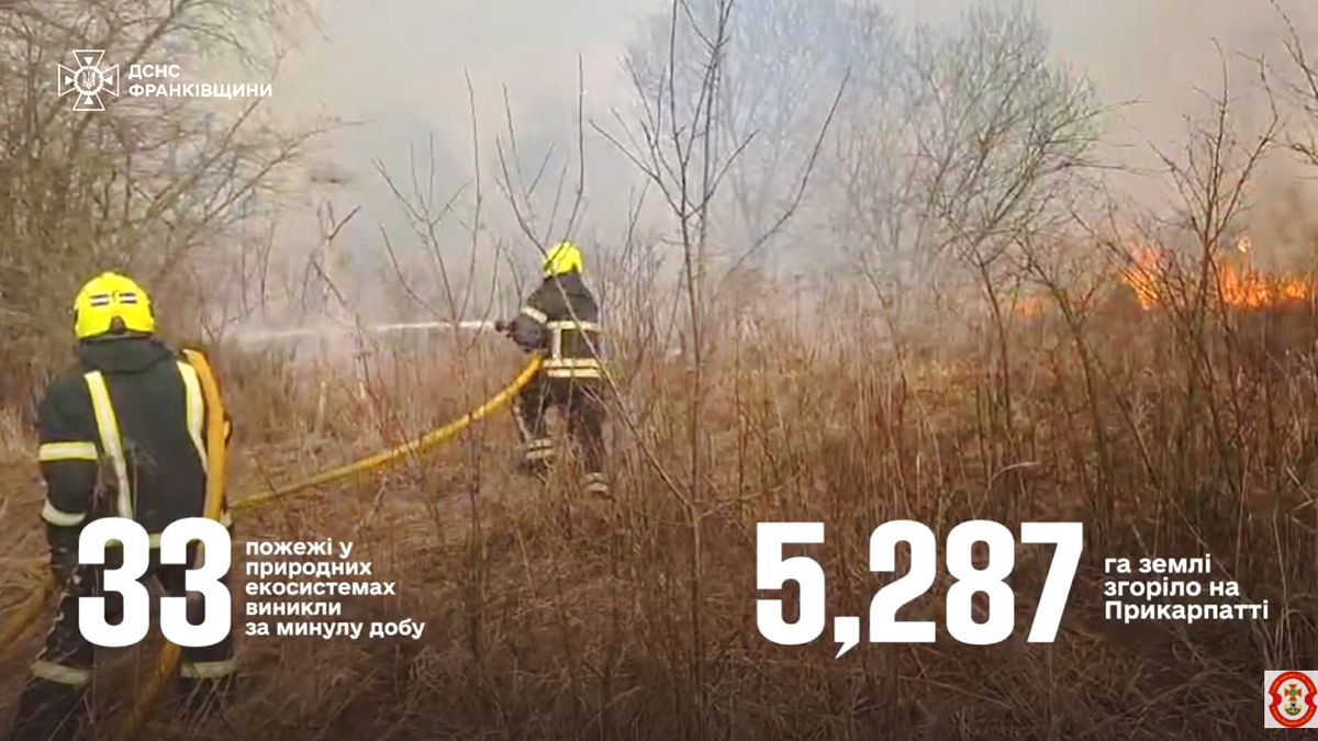 Через пожежі сухої трави на Прикарпатті минулої доби згоріло 10 тимчасових споруд