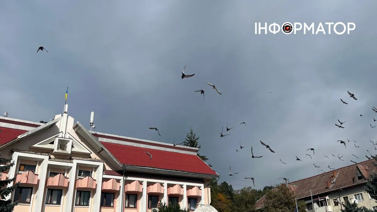 Вакансії у Косові та Кутах 26 березня