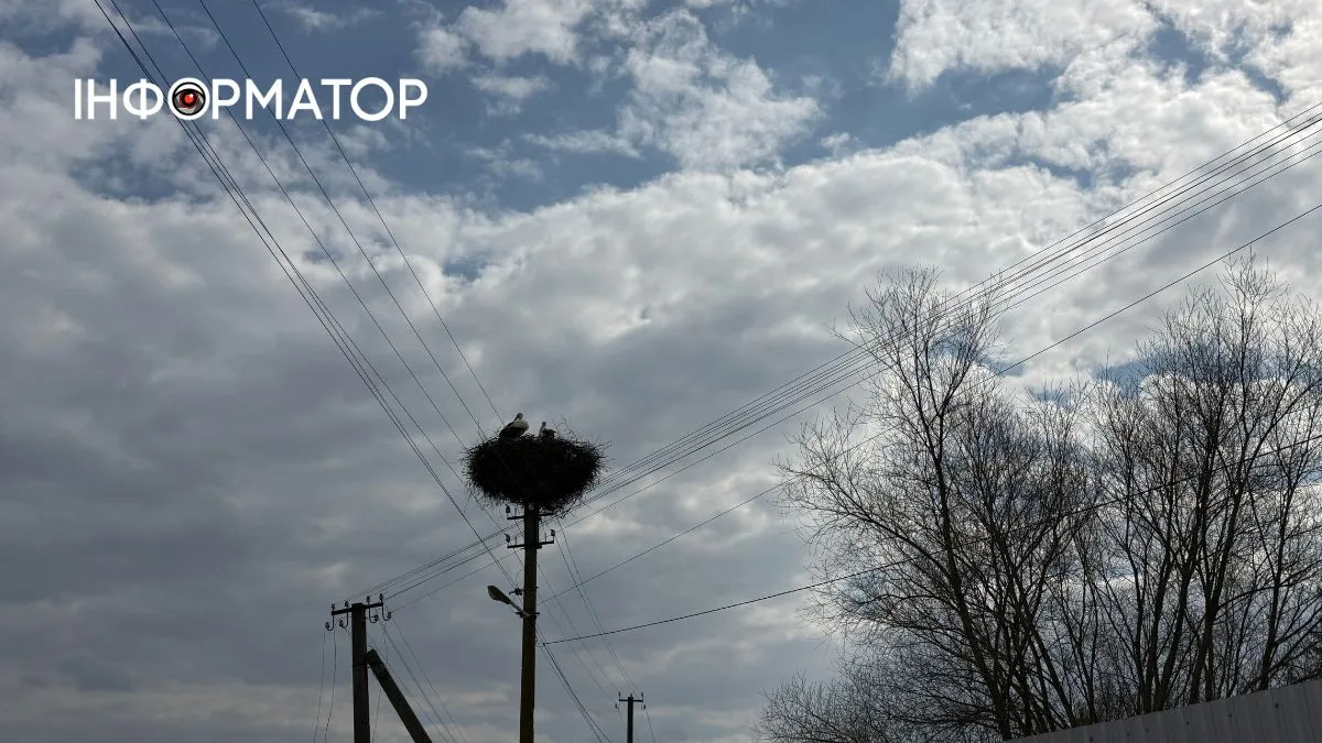 Фоторепортаж із села Залуччя