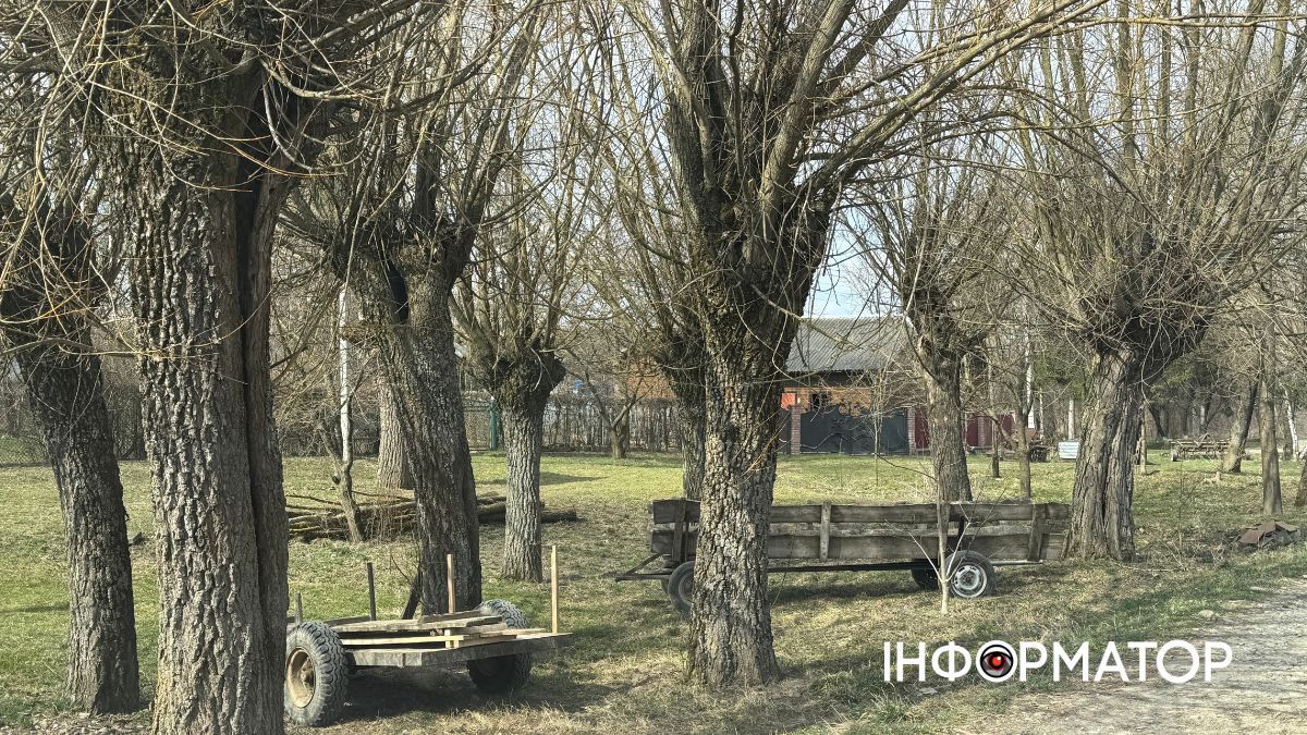 Запруття у весняних барвах: фоторепортаж із села Залуччя 17