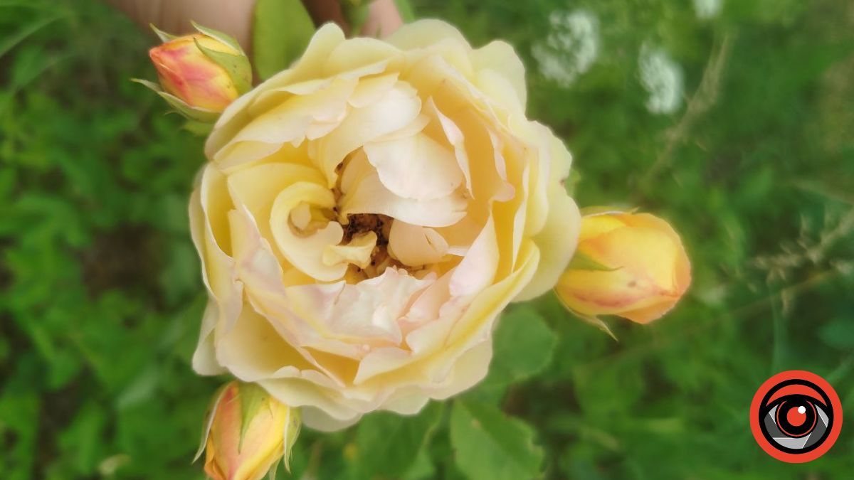 Фото: Інформатор Калуш Фото: Інформатор Калуш