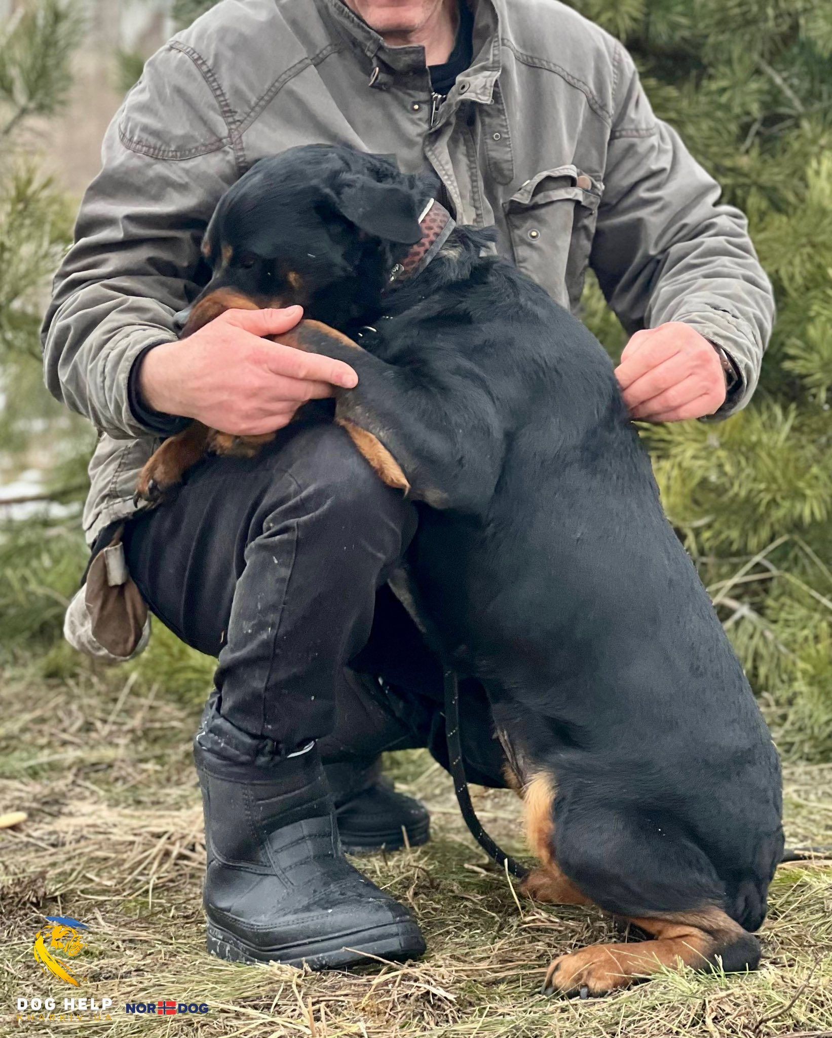 Коломийські пухнастики шукають нову домівку 4