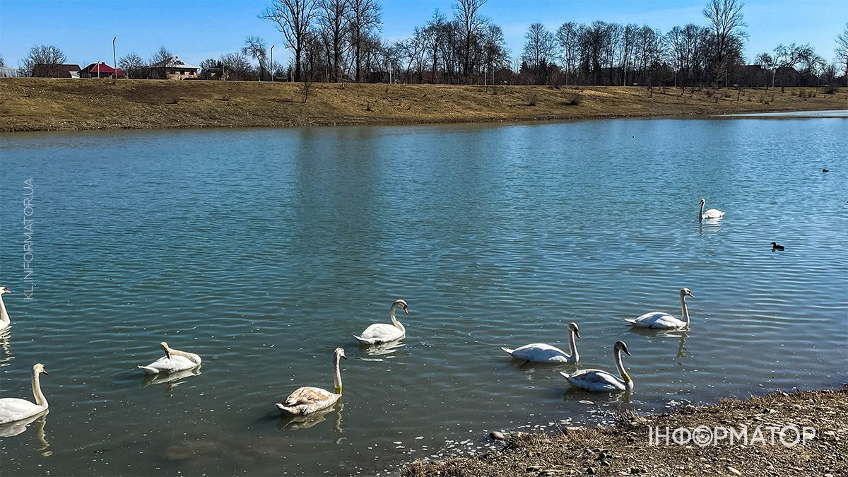 Краса природи та архітектури: якою була Коломия в березні 11