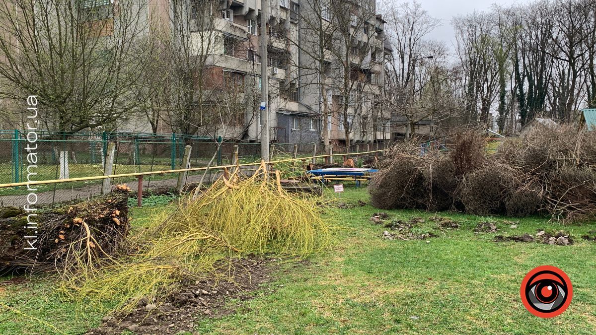 Полеміка у Коломиї: у дитсадку №19 масово зрізають дерева — мешканці б’ють на сполох 8